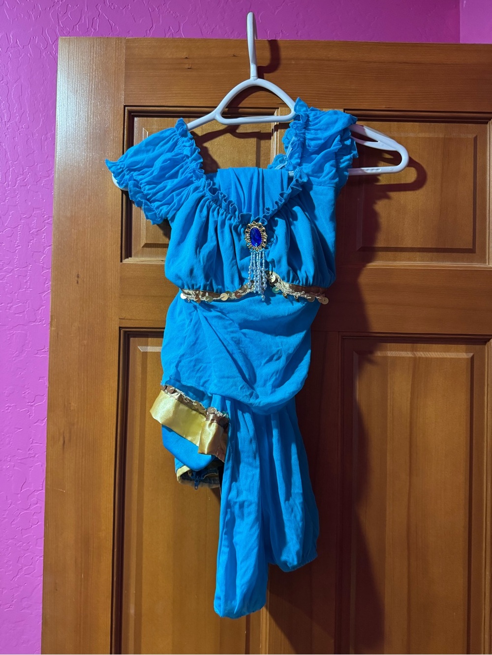 Jasmine Costume Dress with Gold Accents